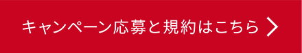 キャンペーン応募と規約はこちら