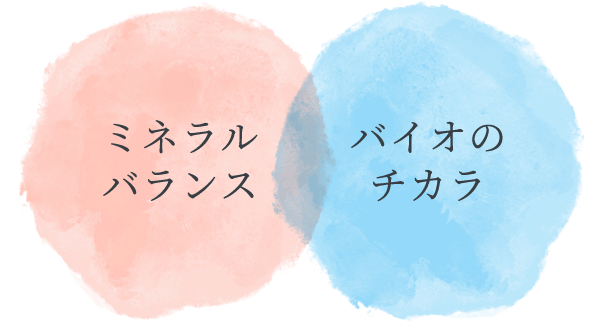 ミネラルバランス バイオのチカラ