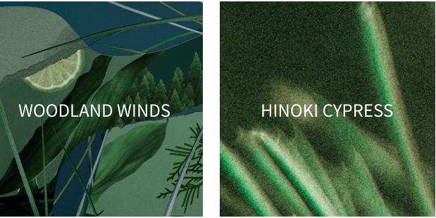 WOODLAND WINDS HINOKI CYPRESS