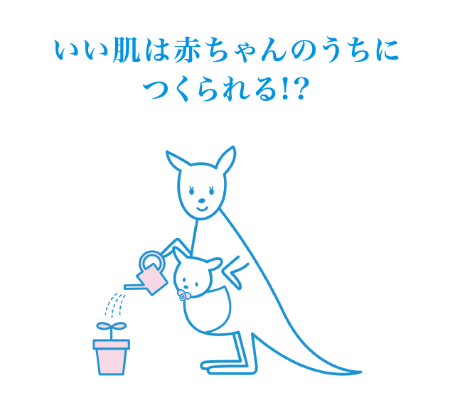 いい肌は赤ちゃんのうちにつくられる!?