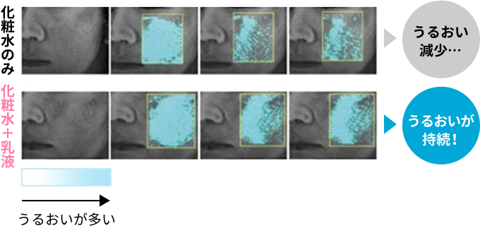 化粧水のみ うるおい減少… 化粧水＋乳液 うるおいが持続！