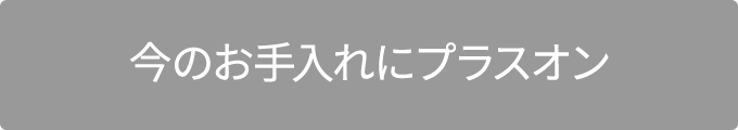 今のお手入れにプラスオン