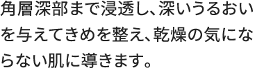 角層深部まで浸透し、深いうるおいを与えてきめを整え、乾燥の気にならない肌に導きます。