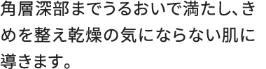 角層深部までうるおいで満たし、きめを整え乾燥の気にならない肌に導きます。