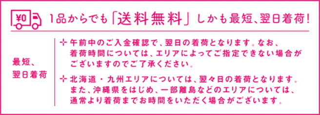1品からでも「送料無料」しかも最短、翌日着荷!