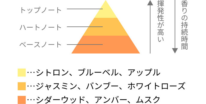 ■・・・シトロン、ブルーベル、アップル ■・・・ジャスミン、バンブー、ホワイトローズ ■・・・シダーウッド、アンバー、ムスク