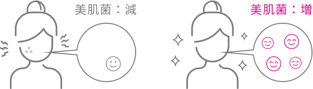 美肌菌:減 美肌菌:増
