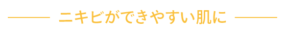 ニキビができやすい肌に