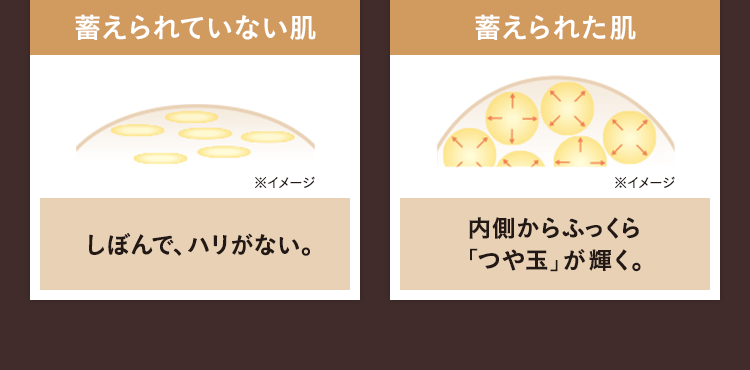 【蓄えられていない肌：しぼんで、ハリがない。】【蓄えられた肌：内側からふっくら「つや玉」が輝く。】