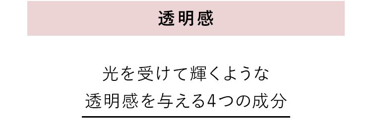 「透明感」光を受けて輝くような透明感を与える4つの成分