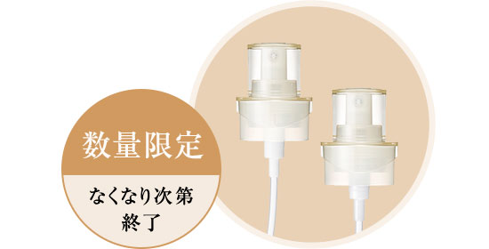 数量限定なくなり次第終了