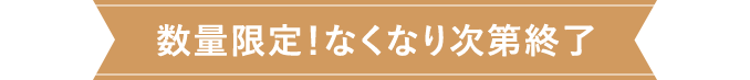 数量限定！なくなり次第終了