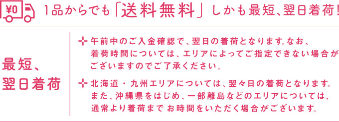 1品からでも「送料無料」しかも最短、翌日出荷！ 最短、翌日出荷 ・午前中のご入金確認で、翌日の着荷となります。なお、着荷時間については、エリアによってご指定できない場合がございますのでご了承ください。 ・北海道・九州エリアについては、翌々日の着荷となります。また、沖縄県をはじめ、一部離島などのエリアについては、通常より着荷までお時間をいただく場合がございます。