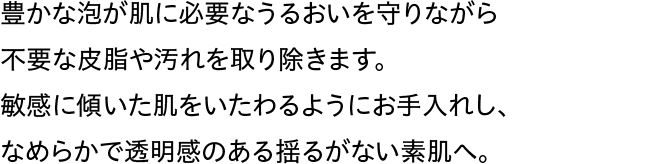 豊かな泡が肌に必要なうるおいを守りながら不要な皮脂や汚れを取り除きます。敏感に傾いた肌をいたわるようにお手入れし、なめらかで透明感のある揺るがない素肌へ。