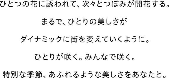 ひとつの花に誘われて、次々とつぼみが開花する。まるで、ひとりの美しさがダイナミックに街を変えていくように。ひとりが咲く。みんなで咲く。特別な季節、あふれるような美しさをあなたと。