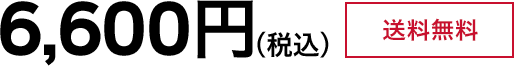 6,600円（税込）送料無料