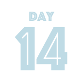 DAY14