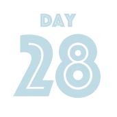 DAY28