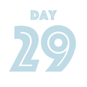 DAY29