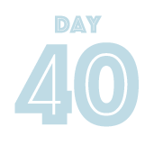 DAY40