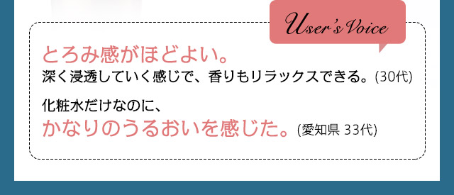 User's Voice