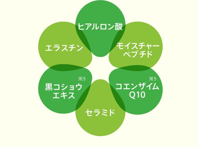 ヒアルロン酸、モイスチャーペプチド、コエンザイムQ10※5、セラミド、黒コショウエキス※5、エラスチン