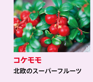 コケモモ。北欧のスーパーフルーツ