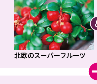 北欧のスーパーフルーツ