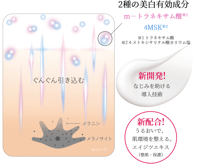 2種の美白有効成分 m－トラネキサム酸※1 4MSK※2 ※1 トラネキサム酸 ※2 4-メトキシサリチル酸カリウム塩 新開発!なじみを助ける 導入技術 新配合!うるおいで、肌環境を整える エイジツエキス（整肌・保護）