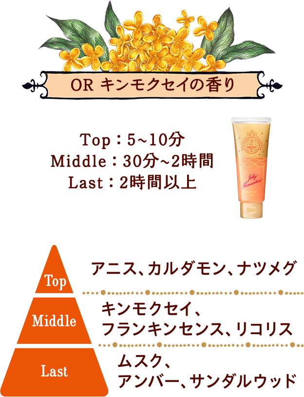 OR キンモクセイの香り Top: 5～10分 Middle:30分～2時間 Last: 2時間以上 Top アニス、カルダモン、ナツメグ Middle キンモクセイ、フランキンセンス、リコリス Last ムスク、アンバー、サンダルウッド