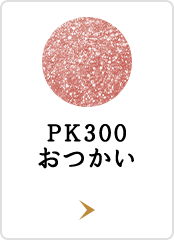 PK300 おつかい