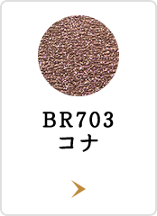 BR703 コナ