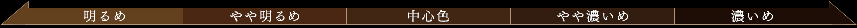 明るめ やや明るめ 中心色 やや濃いめ 濃いめ