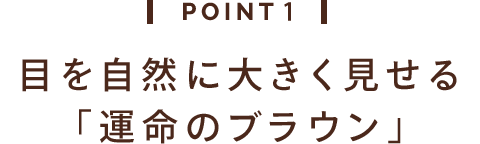 POINT 1 目を自然に大きく見せる 「運命のブラウン」