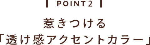 POINT 2 惹きつける 「透け感アクセントカラー」