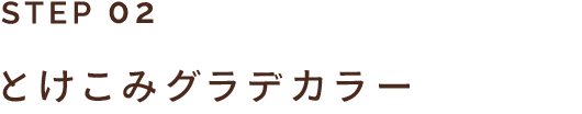 STEP 02 とけこみグラデカラー