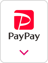 PayPay