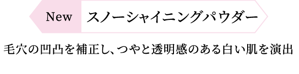 Newスノーシャイニングパウダー 毛穴の凹凸を補正し、つやと透明感のある白い肌を演出