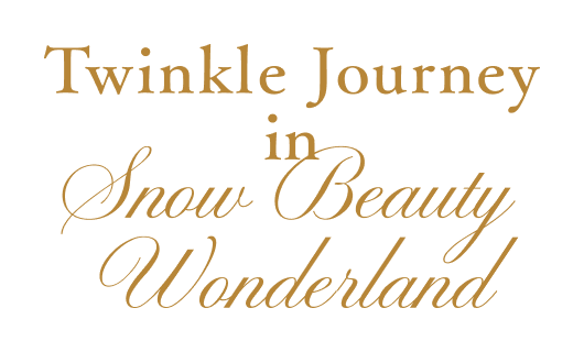 twinkle journey in snow beauty wonderland