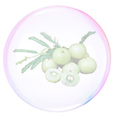 bubble
