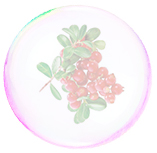 bubble