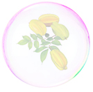bubble