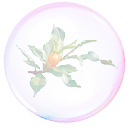 bubble
