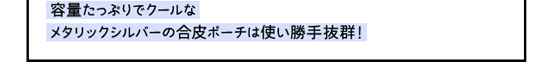 容量たっぷりでクールなメタリックシルバーの合皮ポーチは使い勝手抜群！