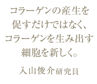 コラーゲンの産生を 促すだけではなく、 コラーゲンを生み出す 細胞を新しく。入山俊介研究員