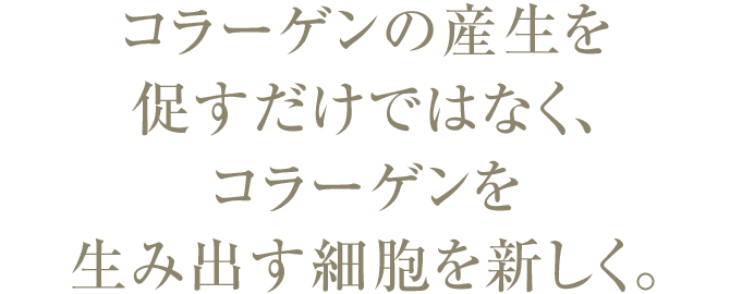 コラーゲンの産生を 促すだけではなく、 コラーゲンを 生み出す細胞を新しく。