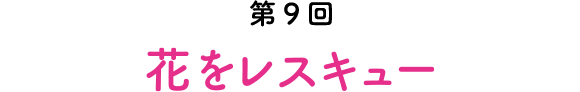第9回 花をレスキュー