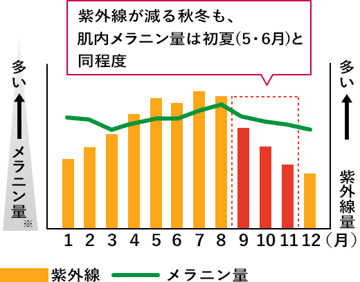 紫外線量は減ってもメラニン量はあまり変わらない