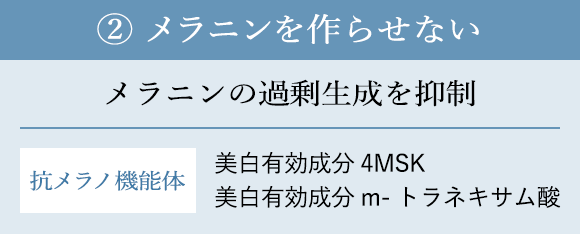 ② メラニンを作らせない