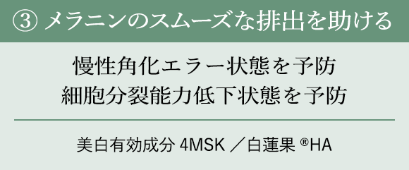 ③ メラニンのスムーズな排出を助ける